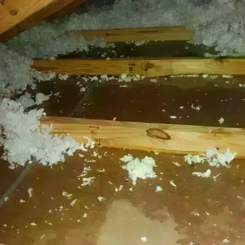 Attic Water Damage in McCone County, MT